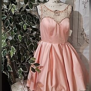 Sherry Hill Sequin Pleated Skirt Ball Gown Style 50962 Size 12